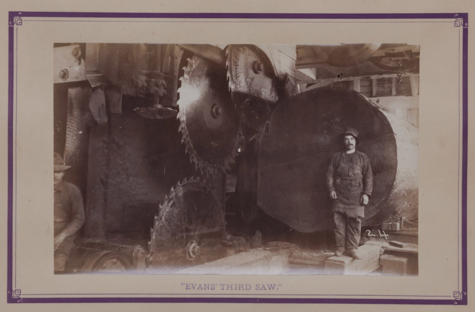 Redwood and Lumbering in California Forests by Edgar Cherry & Co. [Rare Book] (San Francisco, 1884) (1 of 14)