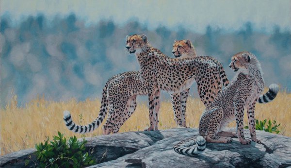 Surveying the Plains
