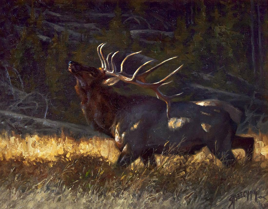 Bull Elk by Greg Beecham (1954- ): Greg Beecham (1954- ), Bull Elk, oil on board, 11 x 14, signed lower right