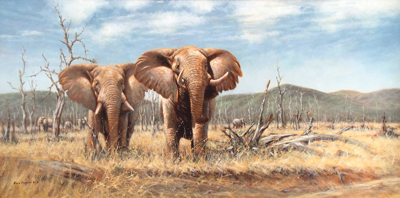 Two Bulls by Eric Forlee (1949- ): Eric Forlee (1949- ), Two Bulls, oil on canvas, 24 x 48, signed lower left