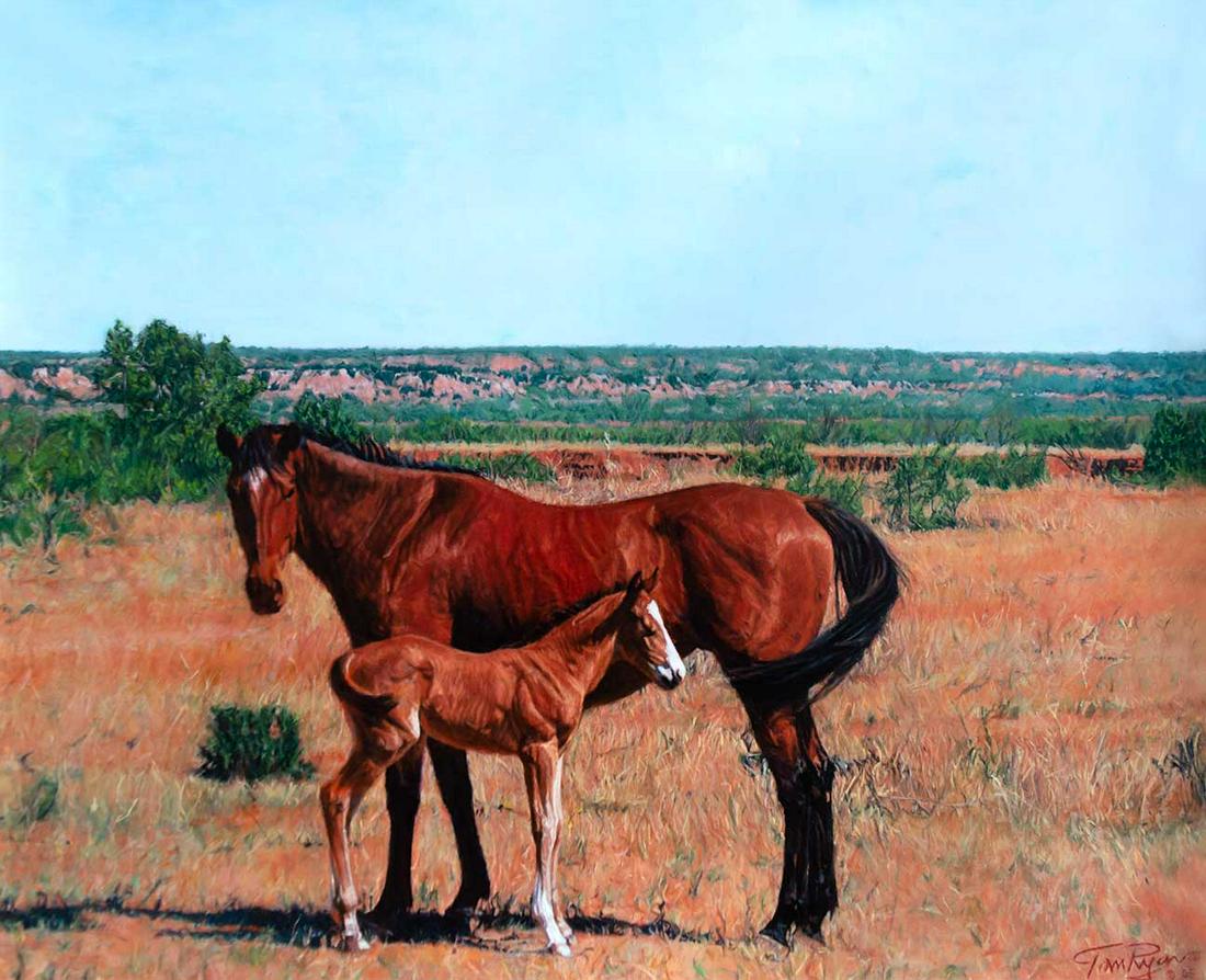 West Texas Foal by Tom Ryan III (1977- ) (1 of 2)