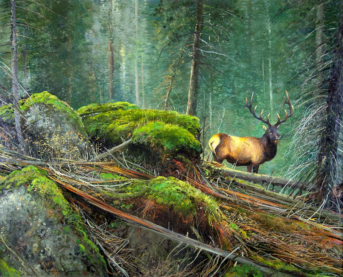 High Country Elk by Michael Coleman (1946- ): Michael Coleman (1946- ), High Country Elk, oil on board, 24 x 30, signed lower left