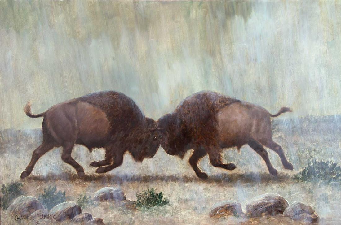 Dueling Bison by Charles Damrow (1916-1989): Dueling Bison by Charles Damrow (1916-1989), oil on masonite, 20 x 30