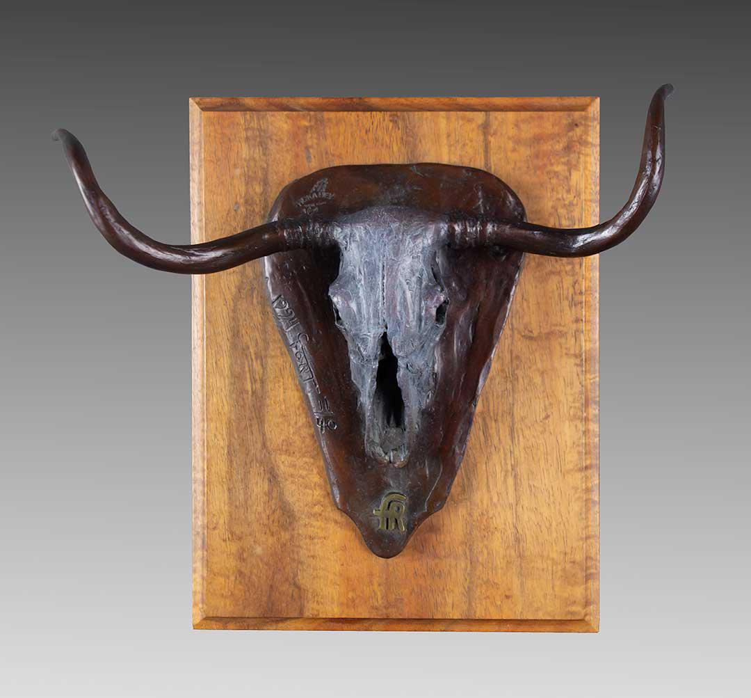 Untitled (Longhorn) by Curtis Fort (1949- ) (1 of 1)