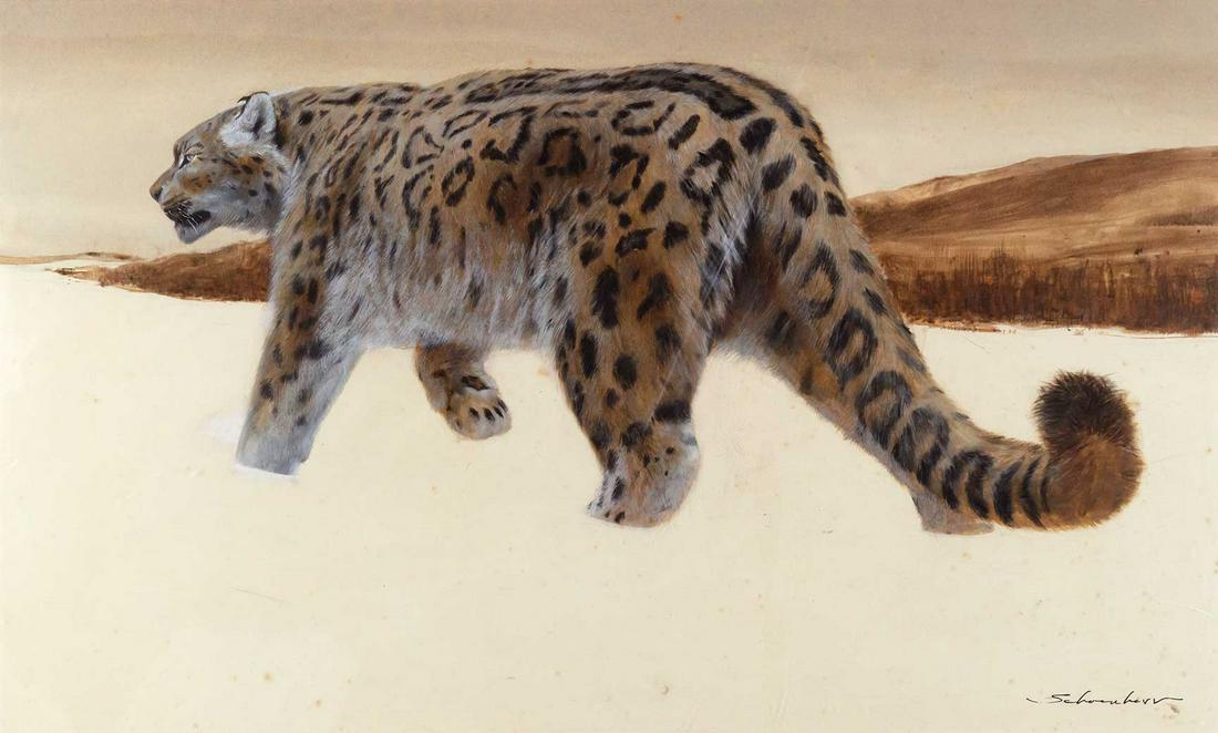 John Schoenherr (1951- ), Snow Leopard, 20 x 30, 15 x 25 (sight): John Schoenherr (1951- ), Snow Leopard, tempera on board, 20 x 30, 15 x 25 (sight), signed lower right: Schoenherr Provenance: The Artist From a Private Collection