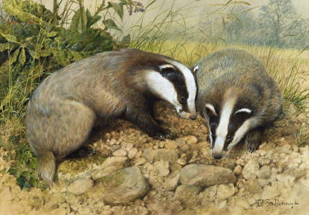 Edwin Penny (1930-2016) Badger Cubs: Edwin Penny (1930-2016) Badger Cubs watercolor and gouache on paper 14 X 20 inches 23 1/2 x 29 1/2 x 1 inches (frame) signed lower right: Edwin Penny - Provenance: Frost & Reed, London (label