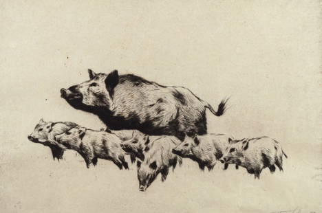 Friedrich Wilhelm Kuhnert (1865-1926), Female Wild Pig with Young (Bache mit Frischlingen): Friedrich Wilhelm Kuhnert (1865-1926) Female Wild Pig with Young (Bache mit Frischlingen) Medium: etching on paper, 63/80 Dimensions: 9 1/2 x 13 1/2 Framed/base dimensions: 14 3/4 x 18 3/4 x 1/2