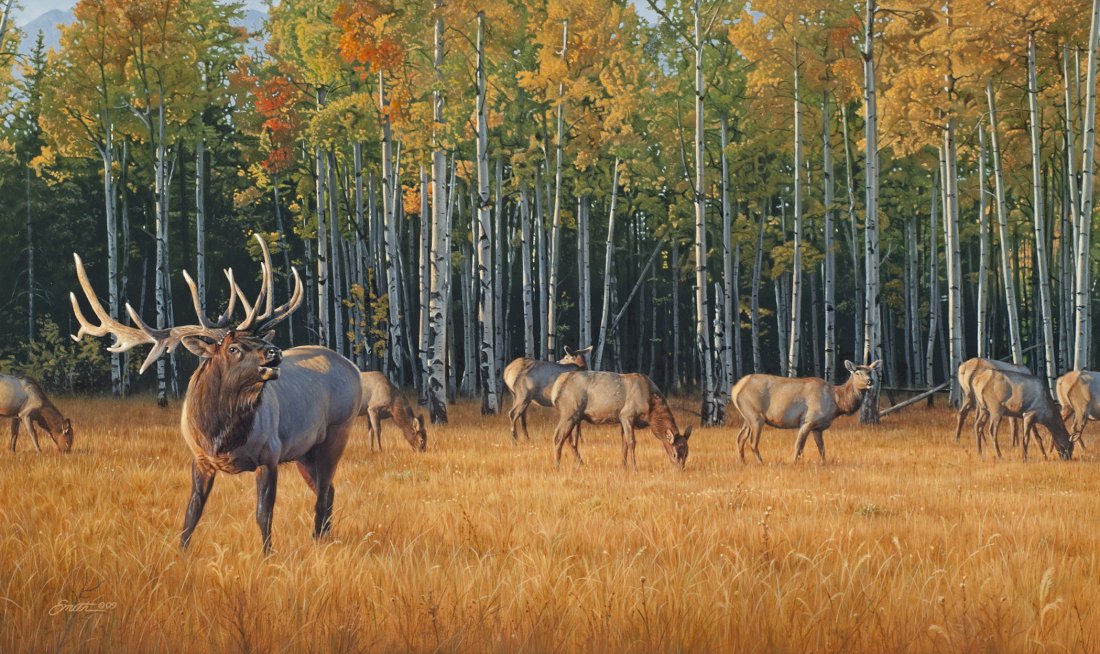 Midas Touch, : Smith, Daniel, 1954-, 18 x 30 inches, oil on masonite, Signed: Lower Left