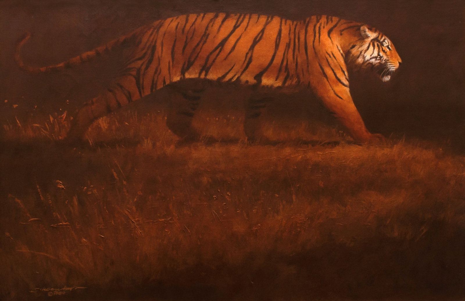 John Schoenherr (1935-2010), Striding Tiger: John Schoenherr (1935-2010) Striding Tiger Medium: oil on canvas Dimensions: 20 x 30 Framed/base dimensions: 22 5/8 x 33 x 1 3/8 Signature: signed and dated lower left: Schoenherr © 1980 Provenance: