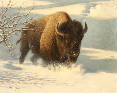 Tucker Smith (1940- ), Bison and Bison Study: Tucker Smith (1940- ) Bison and Bison Study Medium: Bison: oil on canvas Study: pencil on posterboard Dimensions: Bison: 16 x 20 Study: 9 3/4 x 13 1/2 Framed Dimensions: Bison: 21 3/4 x 25 3/4 x 2 Stu