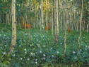 Lee Stroncek (1952- ), Secrets of the Forest