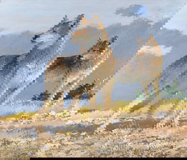 Jackson Hole Art Auction 18th Annual Auction 20240914 Auction 346