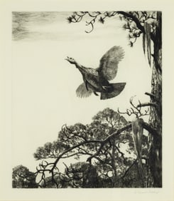 Aiden Lassell Ripley (1896-1969), Turkey in Flight