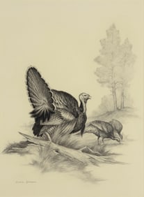 Clark Bronson (1939- ), A Rafter of Turkeys
