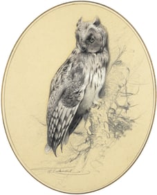 Wilhelm Kuhnert (1865-1926), Eagle Owl