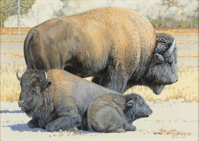 Laney (1942- ), Band of Buffalo