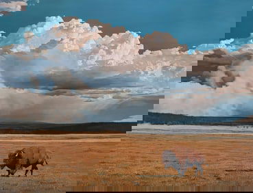 John Bye (1970- ), Strength and Solitude