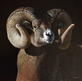 Steve Burgess (1960- ), Majestic