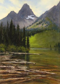 Lorenzo Chavez (1959- ), Mountain Driftwood