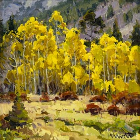 Josh Elliott (1973- ), Aspens, Front Range