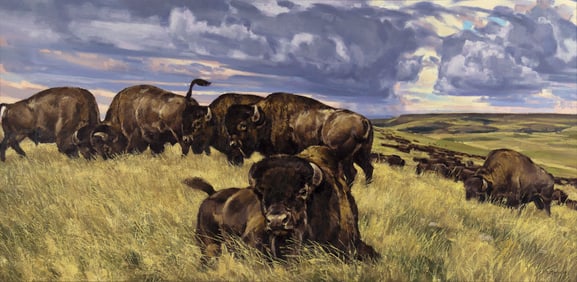 Wayne Meineke (1949- ), Buffalo