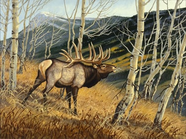 Jim Morgan (1947- ), Elk