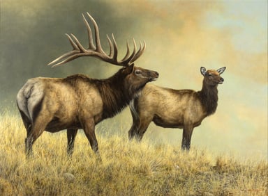 Jorge Mayol (1948- ), Wyoming Elk, 2001