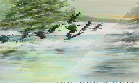 Morten Solberg (1935- ), Winter Flight