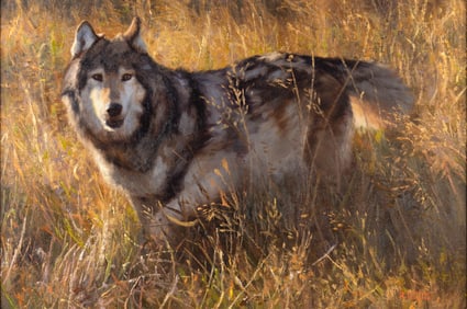 Kyle Sims (1980- ), High-grass Trek, 2009