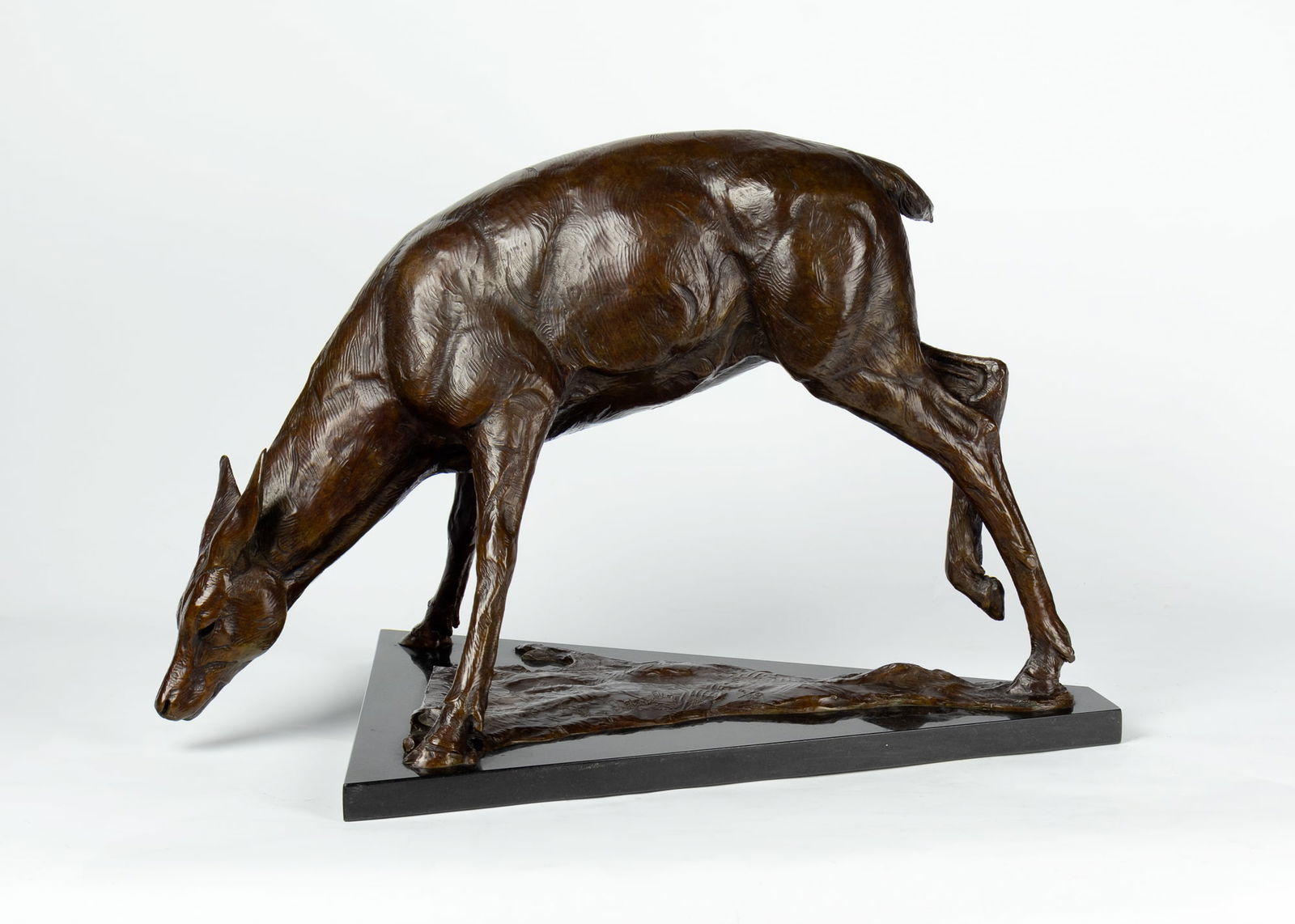 Dan Ostermiller (1956- ): Young Fawn, 1998: Dan Ostermiller (1956- ): Young Fawn, 1998 Medium: bronze, 9/20 Dimensions: 13 1/8 x 20 1/4 x 12 1/8 Framed/base dimensions:13 7/8 x 21 x 14 1/2 Signature: inscribed: © Dan Ostermiller 98 9/20 Proven
