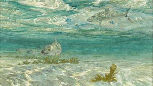 Stanley Meltzoff (1917-2006): Bonefish