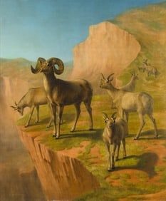 William Hays, Sr. (1830-1875): Rocky Mountain Sheep