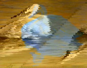 Edward Aldrich (1965- ): Trumpeter Swan