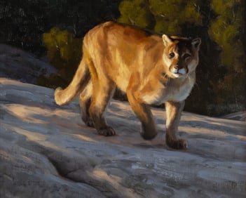 Kyle Sims (1980- ): Silent Pursuit