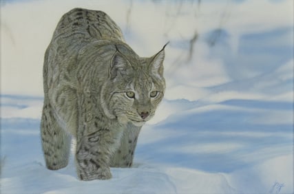 John Bye (1970- ): Silent Approach