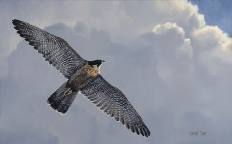 Lindsay Scott (1955- ): Soaring Skyward