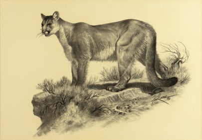 Fred Lucas (1946-2011): Mountain Lion