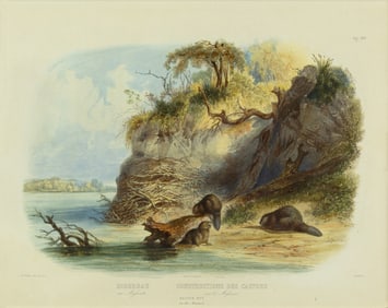 Karl Bodmer (1809-1893): Beaver Hut on the Missouri