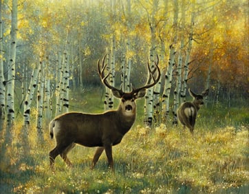 Nancy Glazier (1947- ): Morning Glory, 1981