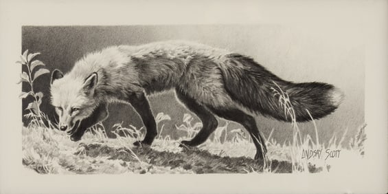 Lindsay Scott (1955- ): Scent Trail