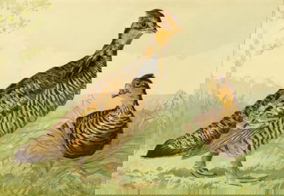 Alexander Pope, Jr. (1849-1924): Pinnated Grouse