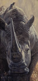 Lindsay Scott (1955- ): Approaching