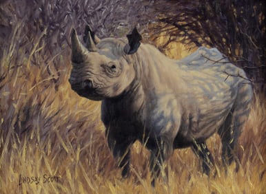 Lindsay Scott (1955- ): In the Thicket