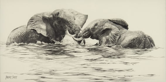 Lindsay Scott (1955- ): Just Add Water