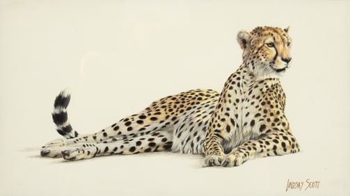 Lindsay Scott (1955- ): Taking It Easy