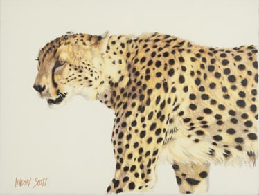 Lindsay Scott (1955- ): Passing Cheetah