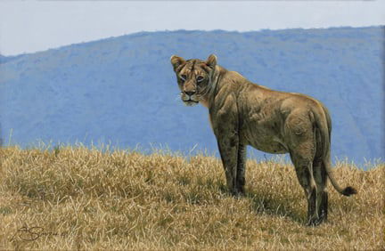 Adam Smith (1984- ): Keeping Watch