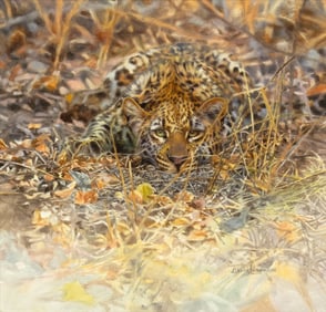 David Langmead (1965- ): Camo Cub II