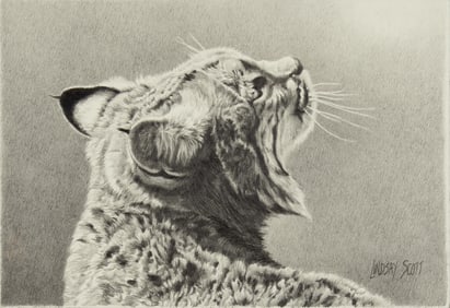 Lindsay Scott (1955- ): Looking Up