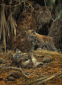 John Seerey-Lester (1946-2020): Miccosukee Playtime